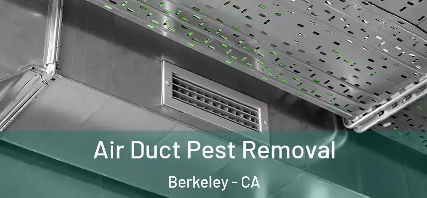 Air Duct Pest Removal Berkeley - CA