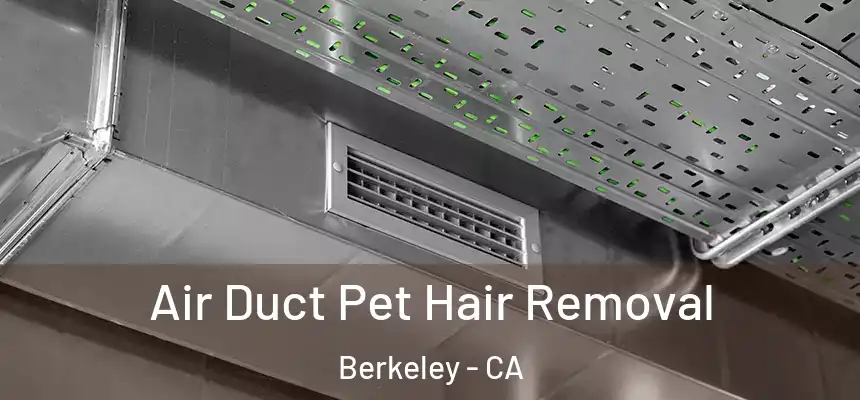 Air Duct Pet Hair Removal Berkeley - CA