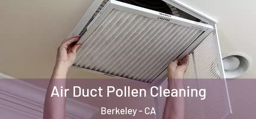 Air Duct Pollen Cleaning Berkeley - CA