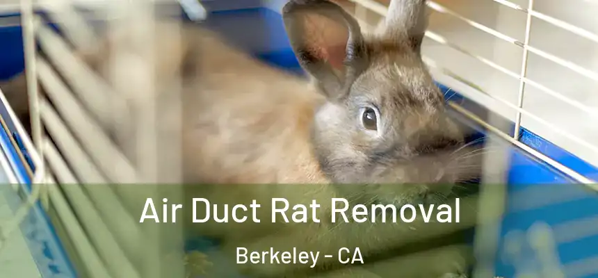 Air Duct Rat Removal Berkeley - CA