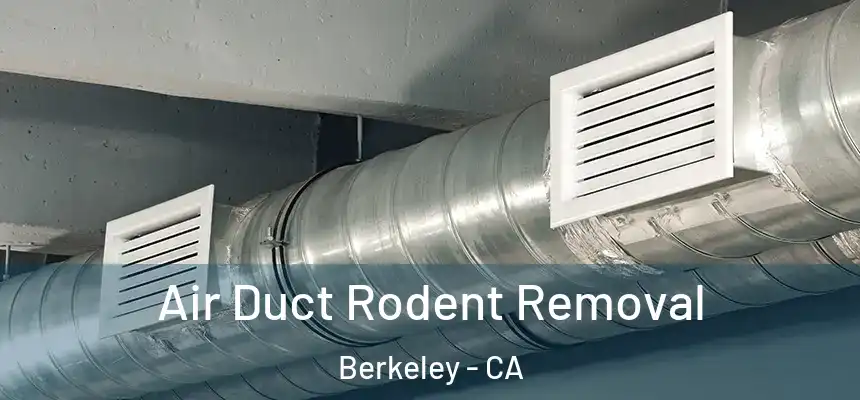 Air Duct Rodent Removal Berkeley - CA