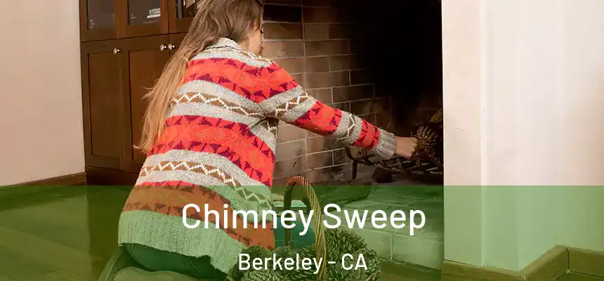  Chimney Sweep Berkeley - CA