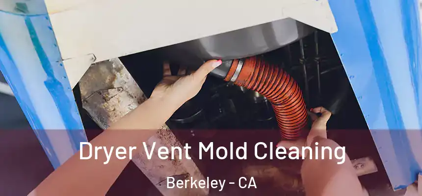  Dryer Vent Mold Cleaning Berkeley - CA