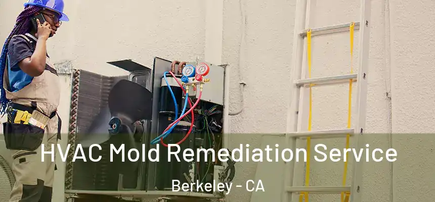  HVAC Mold Remediation Service Berkeley - CA