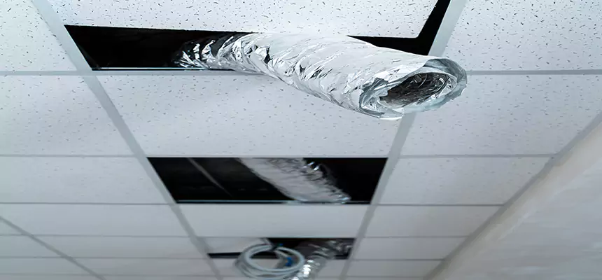 Our Air Duct Pet Hair Removal Services in Berkeley, CA