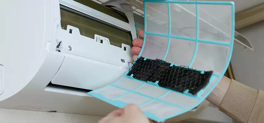 Gentle Ductwork Odor-Control Pet Dander Duct Cleaning in Berkeley, CA