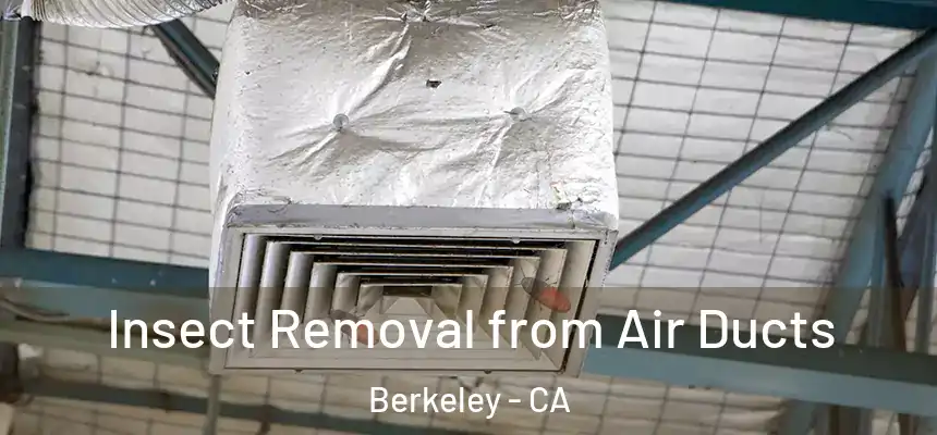 Insect Removal from Air Ducts Berkeley - CA