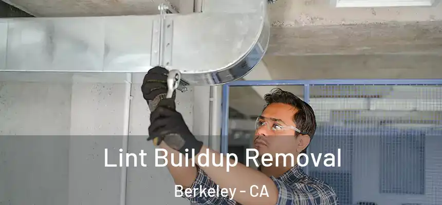  Lint Buildup Removal Berkeley - CA