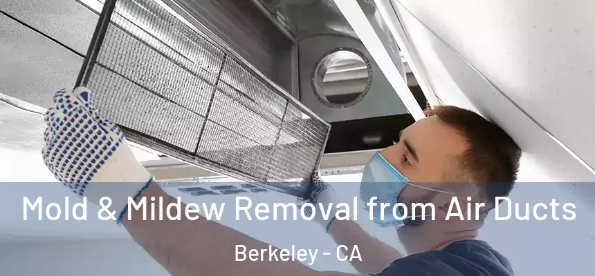  Mold & Mildew Removal from Air Ducts Berkeley - CA