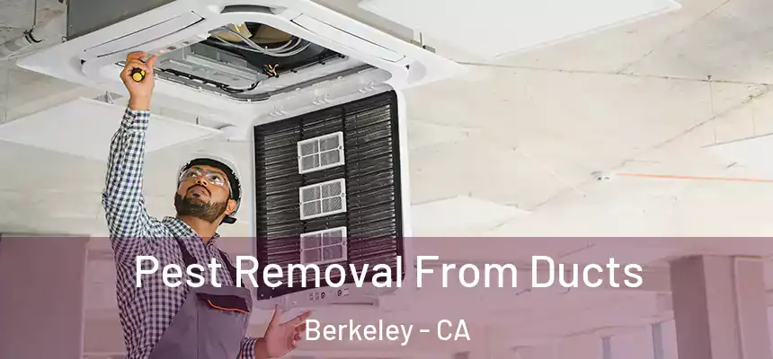  Pest Removal From Ducts Berkeley - CA