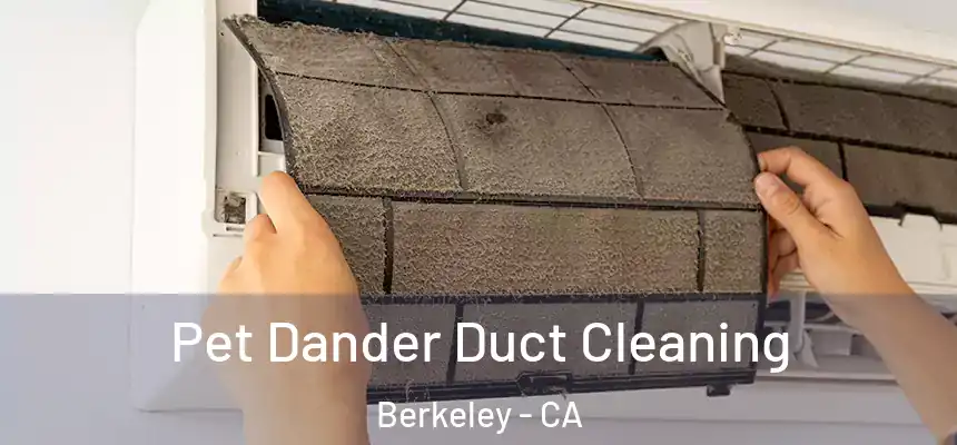 Pet Dander Duct Cleaning Berkeley - CA