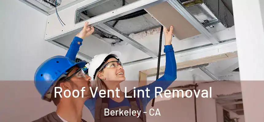  Roof Vent Lint Removal Berkeley - CA