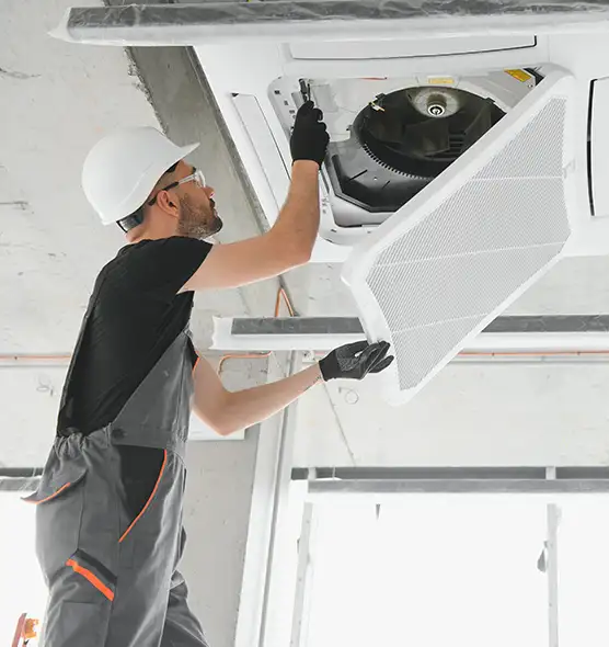 About Air Duct Rodent Removal in Berkeley, CA