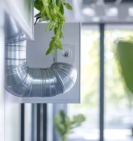 Professional Eco-Safe Dryer Vent Cleaning in Berkeley, CA