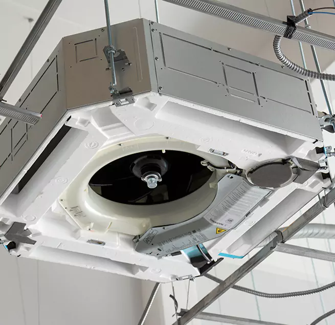 Why Homeowners & Businesses Trust Us in Berkeley, CA?