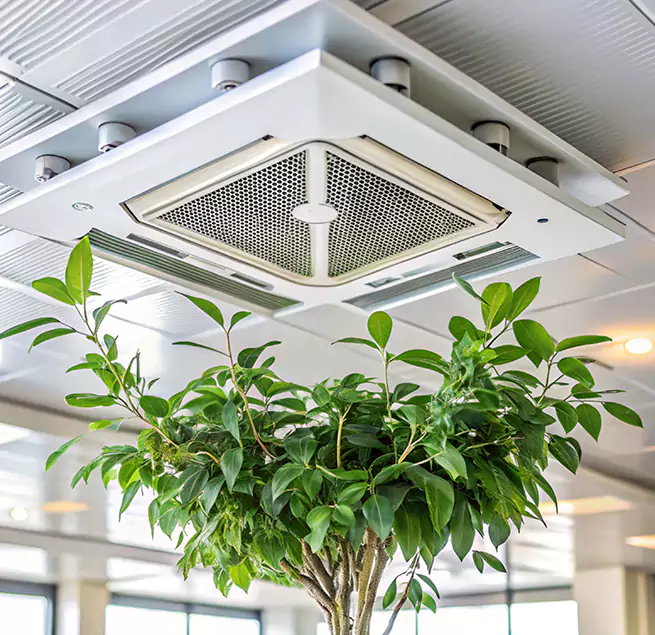 Why Homeowners & Businesses Trust Us in Berkeley, CA?