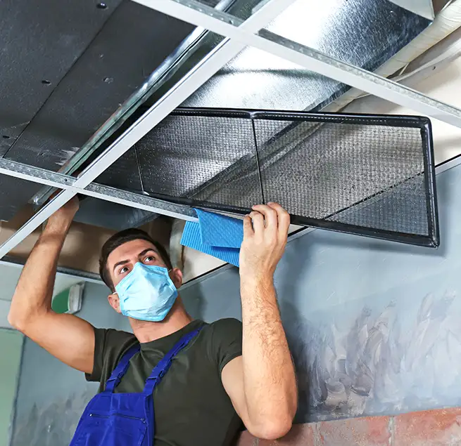 Why Homeowners & Businesses Trust Us in Berkeley, CA?