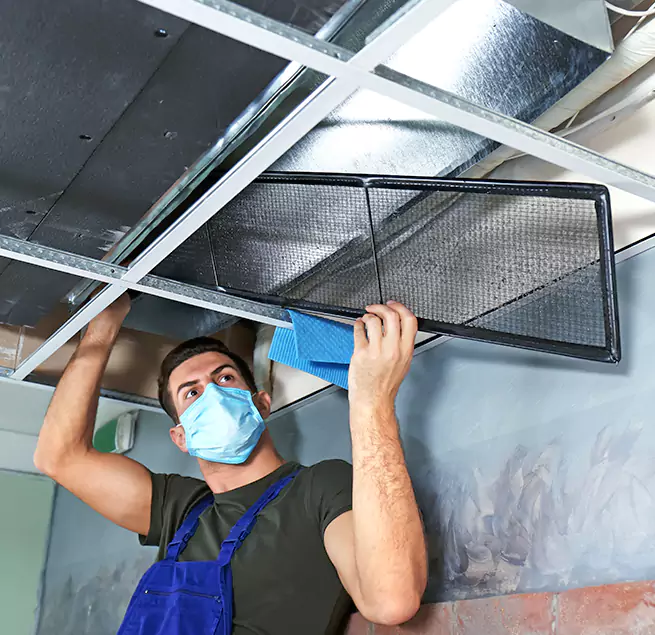 Why Homeowners & Businesses Trust Us in Berkeley, CA?