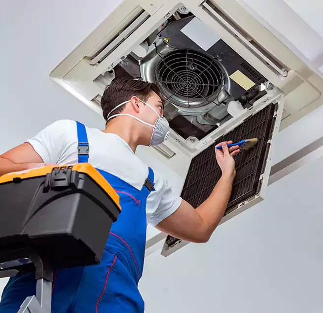 Why Homeowners & Businesses Trust Us in Berkeley, CA?